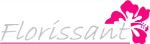 FLORISSANT Nice