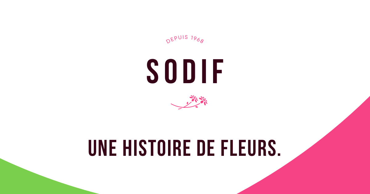 SODIF